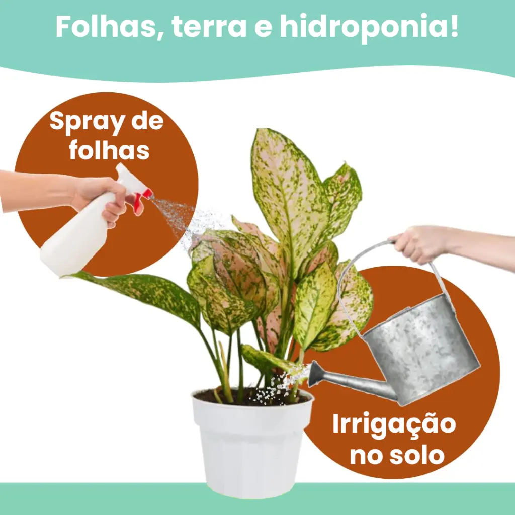 Oleo-de-neem-protecao-defensor-todo-hidro-4.webp