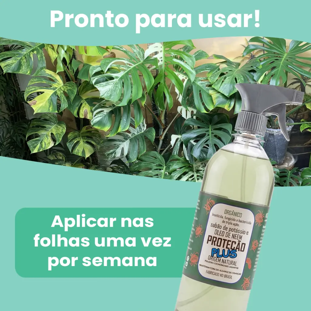 Neem-Plus-3.webp