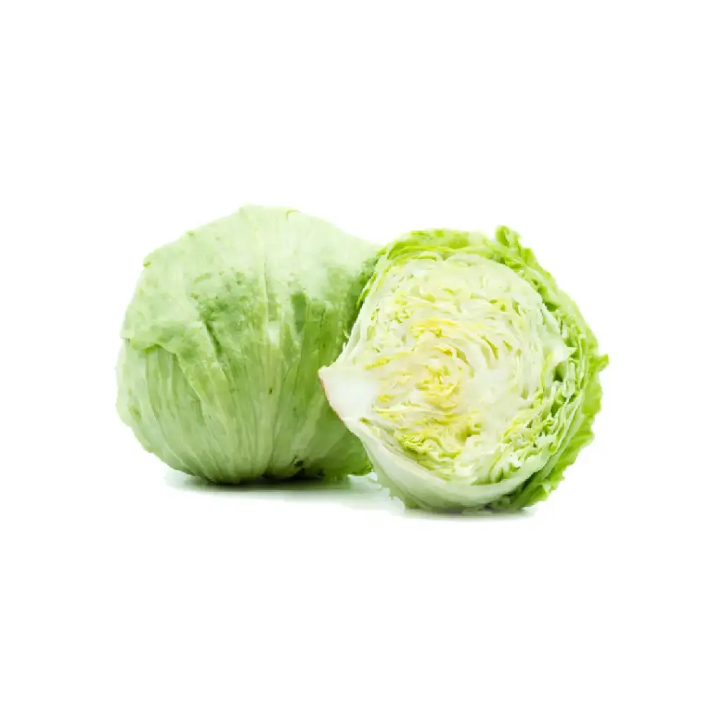 [SEED9] Lechuga Iceberg