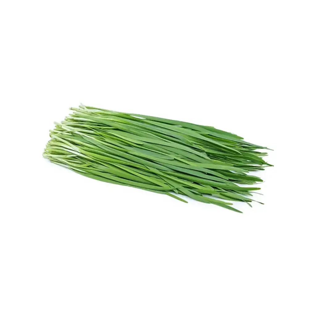 Cebollino